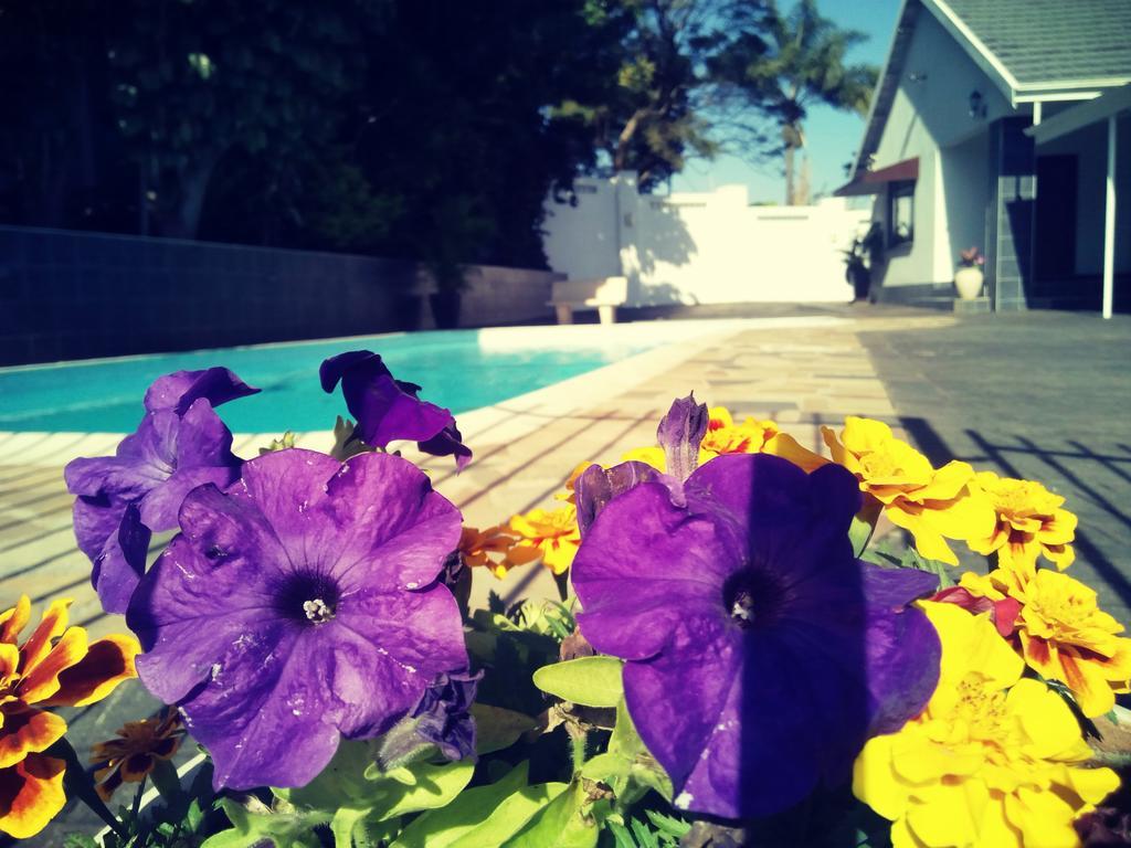 דורבן Buckleigh Guesthouse מראה חיצוני תמונה